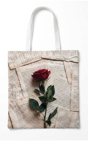 BOLSA ROSA MOSES