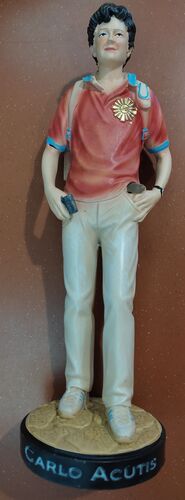 CARLO ACUTIS 30 CM 4023-S0342