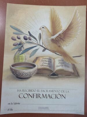 LÁMINA CONFIRMACIÓN 3007/K0197