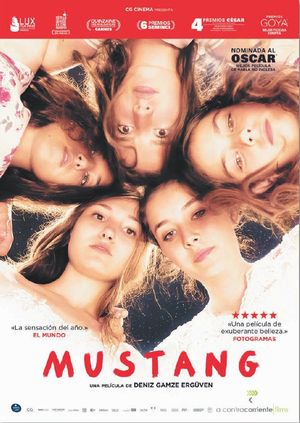 MUSTANG (DVD)
