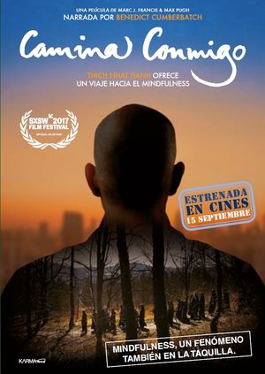 CAMINA CONMIGO (DVD)