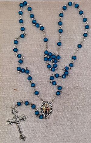 ROSARIO M/F PLASTICO FACETADO AZUL-VIRGEN DEL CARMEN