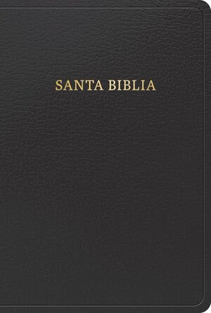 BIBLIA RVR60TAMAÑO MANUAL LETRA GRANDE