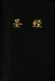HOLY BIBLE CHINESE TEXT EDITION