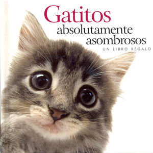 GATITOS ABSOLUTAMENTE ASOMBROSOS