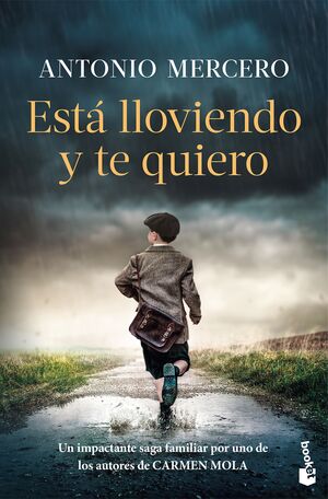 ESTÁ LLOVIENDO Y TE QUIERO