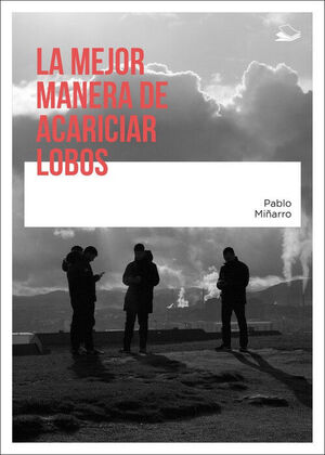 LA MEJOR MANERA DE ACARICIAR LOBOS