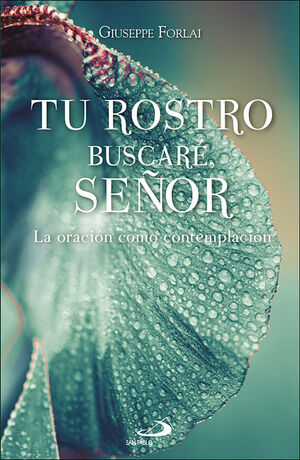 TU ROSTRO BUSCARÉ, SEÑOR