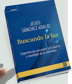 BUSCANDO LA LUZ