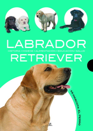 LABRADOR RETRIEVER