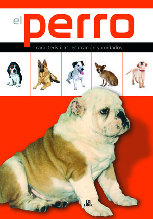EL PERRO