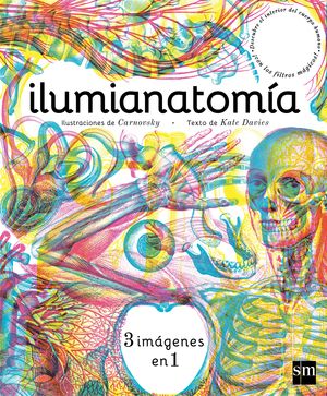 ILUMIANATOMÍA