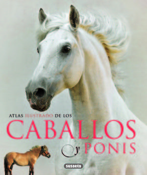 CABALLOS Y PONIS