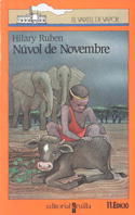 NÚVOL DE NOVEMBRE