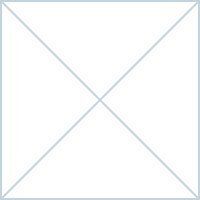 UN ADIVINO ME DIJO ...