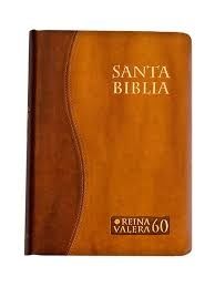SANTA BIBLIA REINA VALERA 60 FUNDA BICOLOR LETRA GRANDE