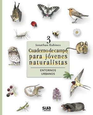 ENTORNOS URBANOS
