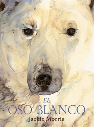 EL OSO BLANCO
