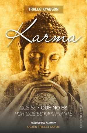 KARMA.QUE ES, QUE NO ES, POR QUE ES IMPORTANTE