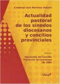 ACTUALIDAD PASTORAL DE LOS SÍNODOS DIOCESANOS Y CONCILIOS PROVINCIALES