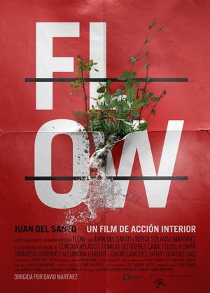 FLOW (DVD)