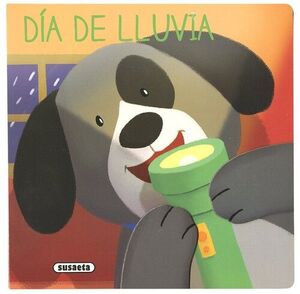 DIA DE LLUVIA