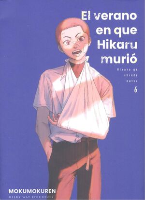 EL VERANO EN QUE HIKARU MURIÓ 6