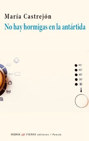 NO HAY HORMIGAS EN LA ANTÁRTIDA