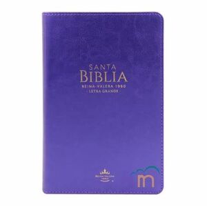 BIBLIA REINA VALERA 1960